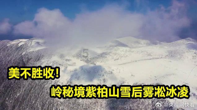 神秘图腾