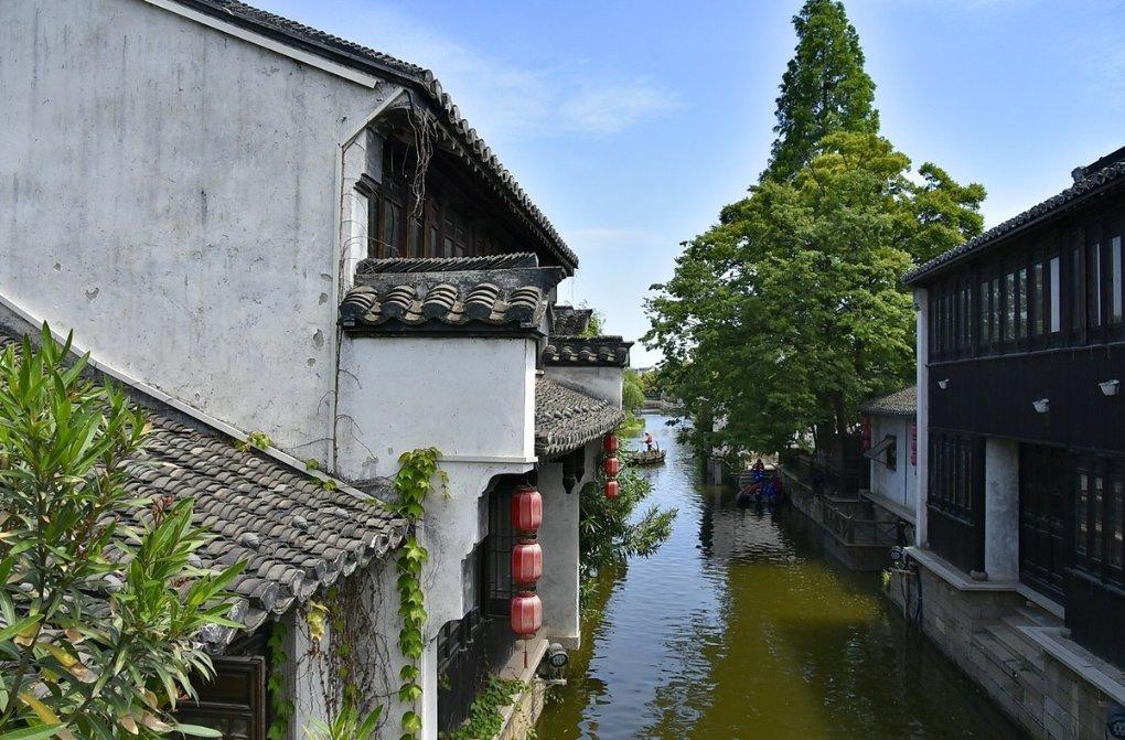 小树一片叶子