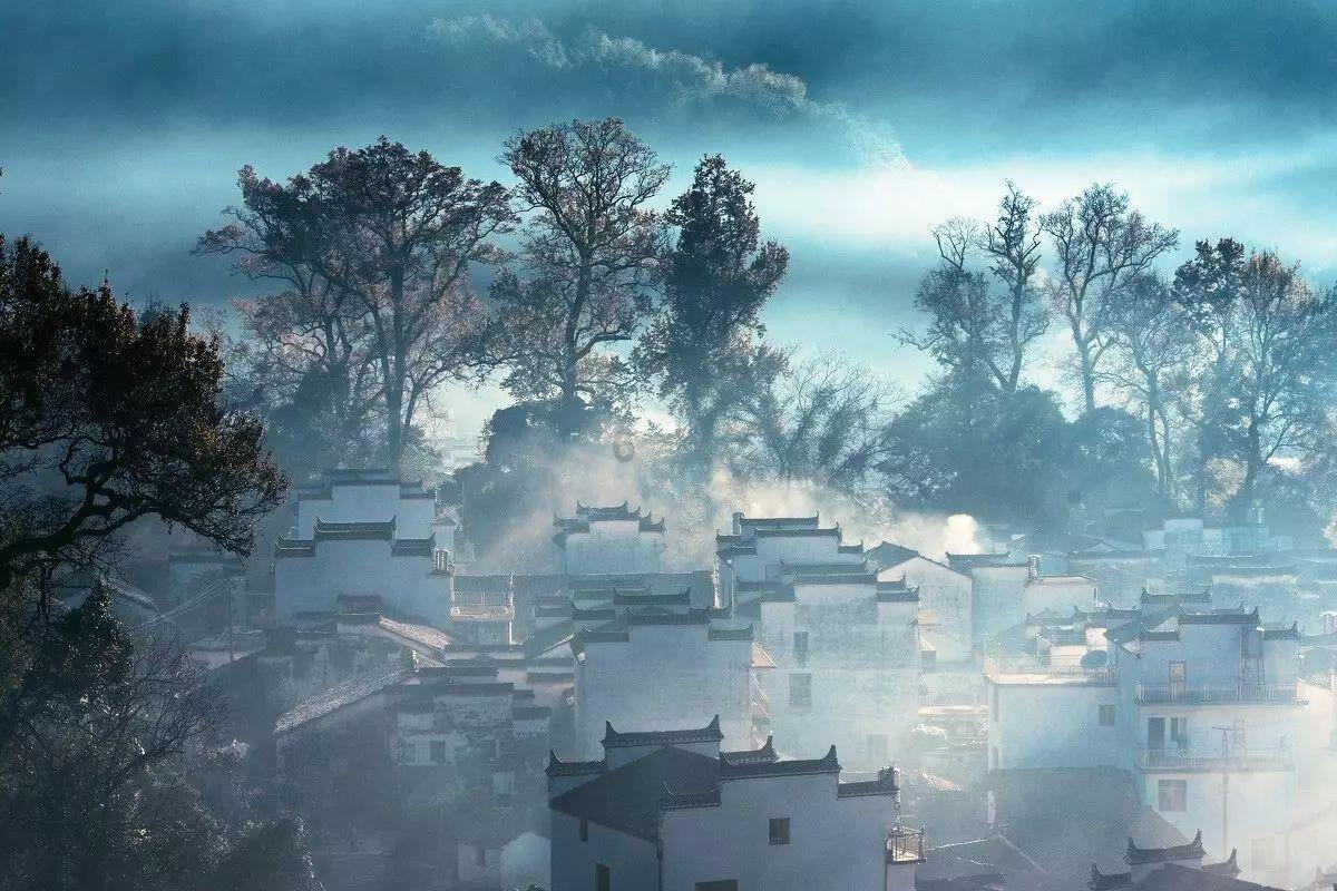 细胞分裂4